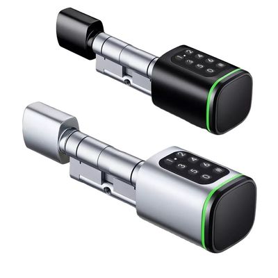 Tarjeta de memoria Smart Digital Lock Tuya Wifi App Seguridad para el hogar Oficina cilindro oval pequeño