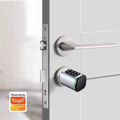 Tarjeta de memoria Smart Digital Lock Tuya Wifi App Seguridad para el hogar Oficina cilindro oval pequeño