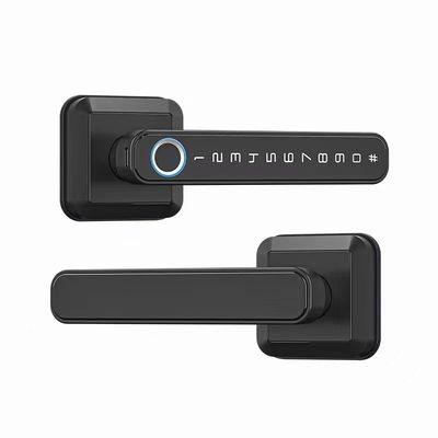Wifi conectado Bluetooth de entrada de bloqueo de la manija para Modern Simplicity estilo de cerradura de la puerta