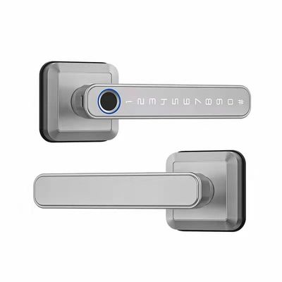 Wifi conectado Bluetooth de entrada de bloqueo de la manija para Modern Simplicity estilo de cerradura de la puerta