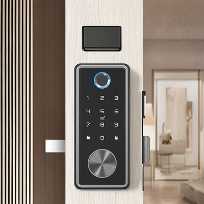 Cerradura inteligente de aleación de zinc negro azul para red WIFI Tuya APP Tarjeta de memoria