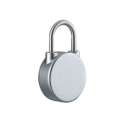 Cerradura inteligente Cerradura electromagnética para una alta seguridad de puertas seguras en el hogar / oficina / escuela