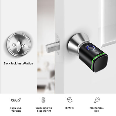 Cerradura de huellas dactilares de Tuya con red Wifi y cerradura de latón impermeable