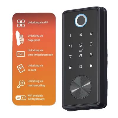 Opciones convenientes de almacenamiento de datos de tarjetas de memoria para cerraduras inteligentes en puertas de acero inoxidable