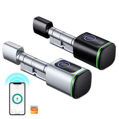 Control de la aplicación móvil TUYA Cerradura inteligente de la puerta de huellas dactilares con apertura de la puerta de tipo Silver Twist
