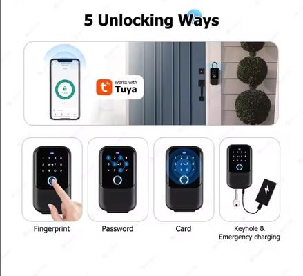 IP65 Impermeable Tuya Cerradura inteligente exterior con conectividad WiFi y lector de huellas dactilares
