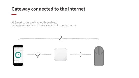 Introducción de la cerradura de puertas inteligentes Wifi gris para el almacenamiento de tarjetas de memoria de puertas de madera Tuya