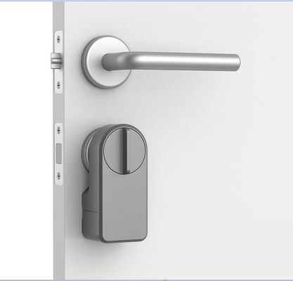 Zinc de aleación Tuya aplicación Wifi contraseña inalámbrica cerradura de puerta de dientes azules inteligentes para 95% de puertas
