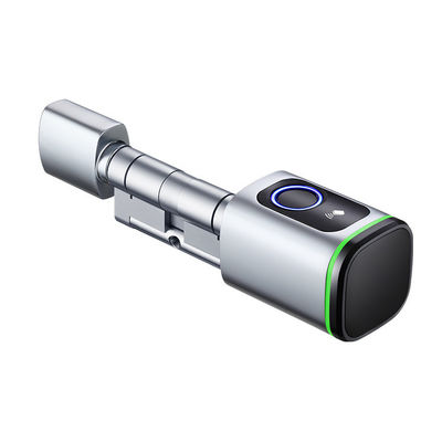 Mejore la seguridad de su puerta de acero con el popular Smart Life Smart Cylinder Lock