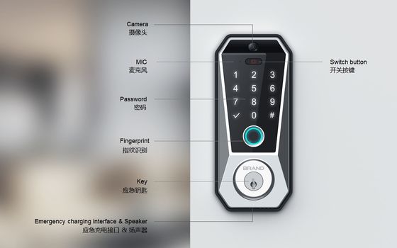 Tuya WIFI Digital Smart Door Lock con almacenamiento de datos de tarjetas de memoria y acceso a huellas dactilares
