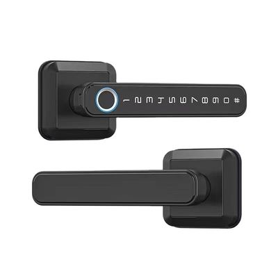 Material de aleación de zinc Wifi habilitado para puertas de huellas dactilares IP66 impermeable para puertas de madera