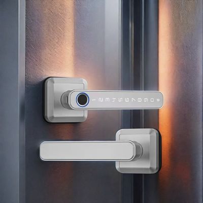 Material de aleación de zinc Wifi habilitado para puertas de huellas dactilares IP66 impermeable para puertas de madera