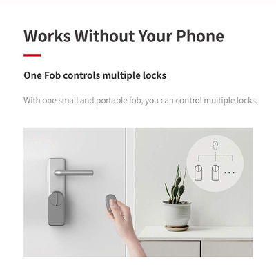 Mejorar su puerta con APP Blue tooth Desbloquear conexión WIFI y tarjeta de memoria A1 Pro