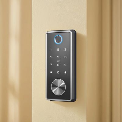 Cerradura de puertas de huellas digitales WiFi inteligente para puertas de madera de aluminio y acero Opción de tarjeta de memoria