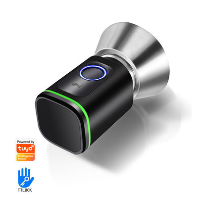 Asegure su hogar con TUYA WiFi BLE Smart Bedroom Door Lock Cylinder y tarjeta de memoria