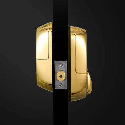 Puerta de madera de alta seguridad de color dorado impermeable deslizante de huellas digitales inteligentes Cerradura de puerta 42.1 * 35.6 * 51.5 cm
