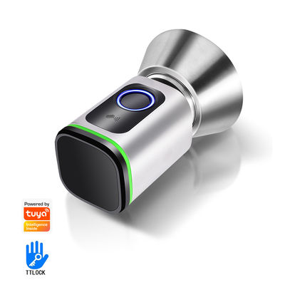 Fuente de alimentación de tipo-C Google Smart Door Lock de huellas digitales sin llave con aplicación Tuya