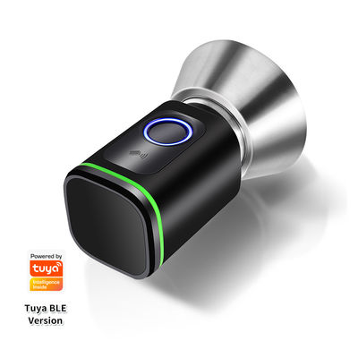 Código de acceso de plata negra TUYA APP Cerradura de cerradura de puertas Wifi Lector de red Dimensión 42 * 42mm