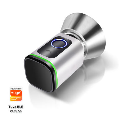 Código de acceso de plata negra TUYA APP Cerradura de cerradura de puertas Wifi Lector de red Dimensión 42 * 42mm