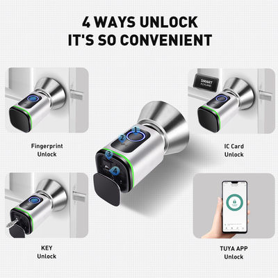 Código de acceso de plata negra TUYA APP Cerradura de cerradura de puertas Wifi Lector de red Dimensión 42 * 42mm