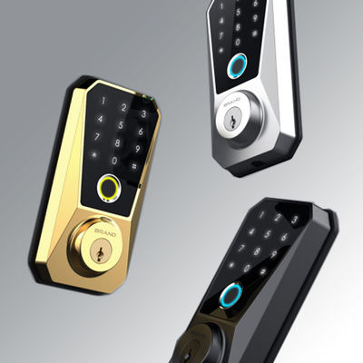 Cerradura inteligente de aleación de zinc personalizable Competitiva para cerraduras de puertas con huella digital habilitadas para Wifi
