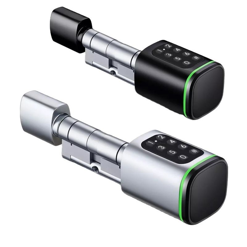 Tarjeta de memoria Smart Digital Lock Tuya Wifi App Seguridad para el hogar Oficina cilindro oval pequeño