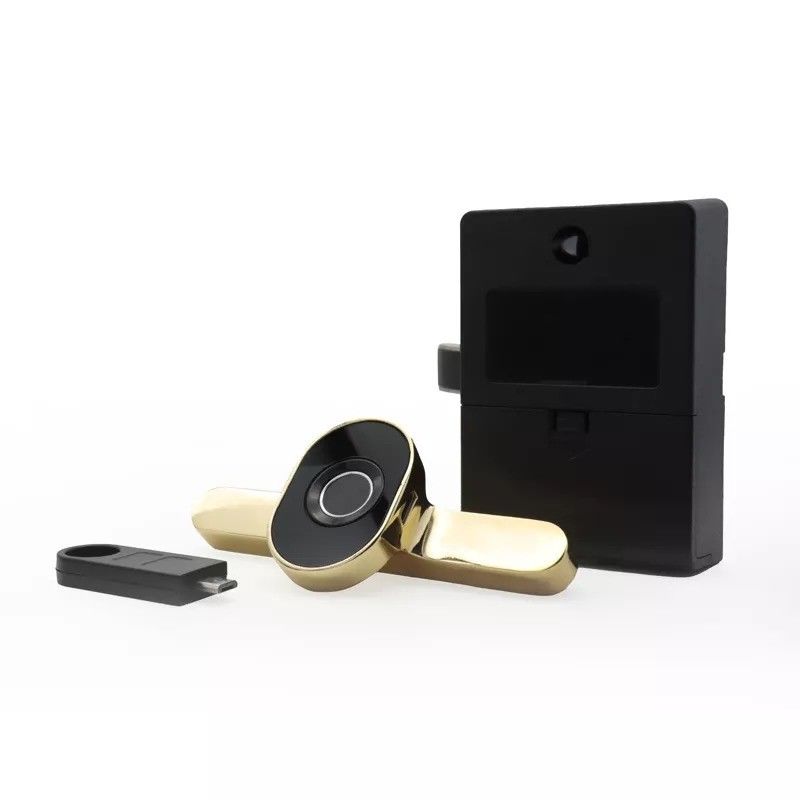 Cerradura de gabinete de almacenamiento biométrico inteligente con almacenamiento de datos de tarjetas de memoria y cerradura de muebles