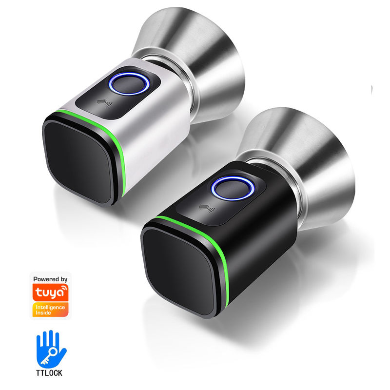 Asegure su hogar con TUYA WiFi BLE Smart Bedroom Door Lock Cylinder y tarjeta de memoria