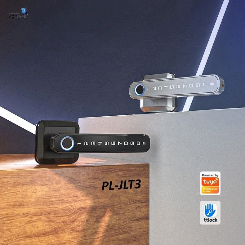 Aplicación WiFi Puerta inteligente Cerradura electrónica con mango de huella digital Cerradura Tuya TT a prueba de agua
