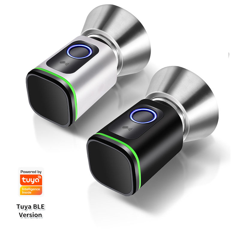 Código de acceso de plata negra TUYA APP Cerradura de cerradura de puertas Wifi Lector de red Dimensión 42 * 42mm